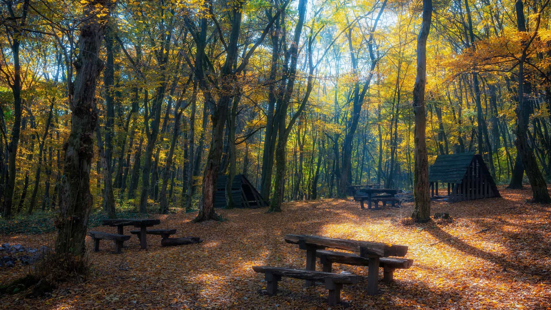 campground digital marketing