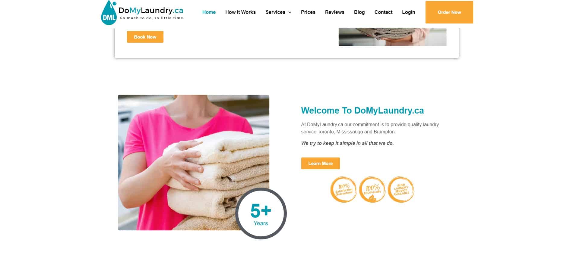 Portfolio | DoMyLaundry A website with a woman holding a towel.