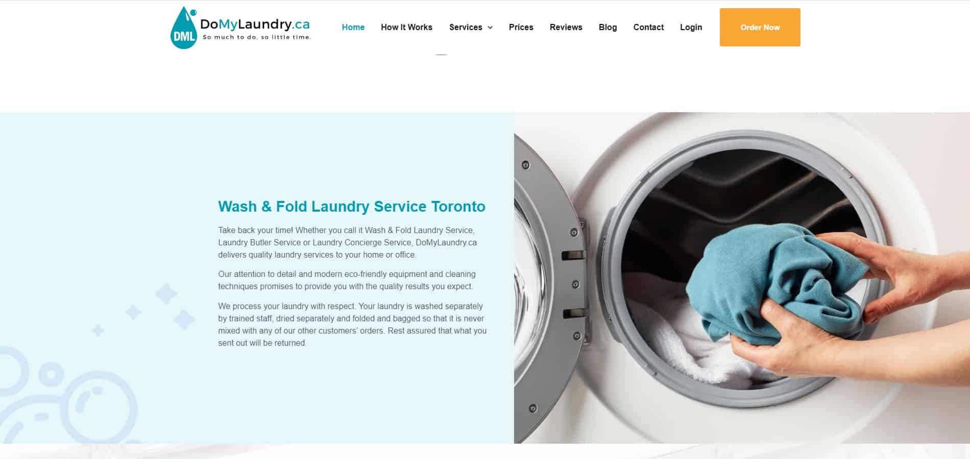 Portfolio | DoMyLaundry A website design for a laundry service.